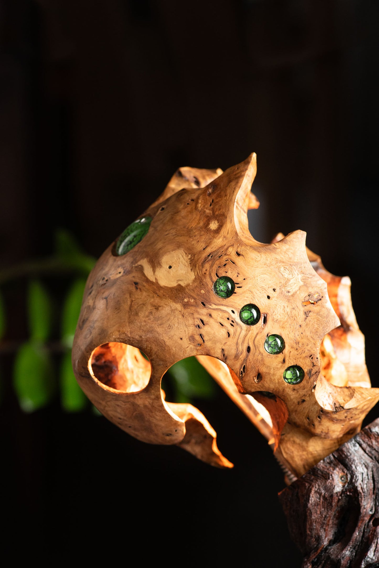 Extraterrestrial Lamp