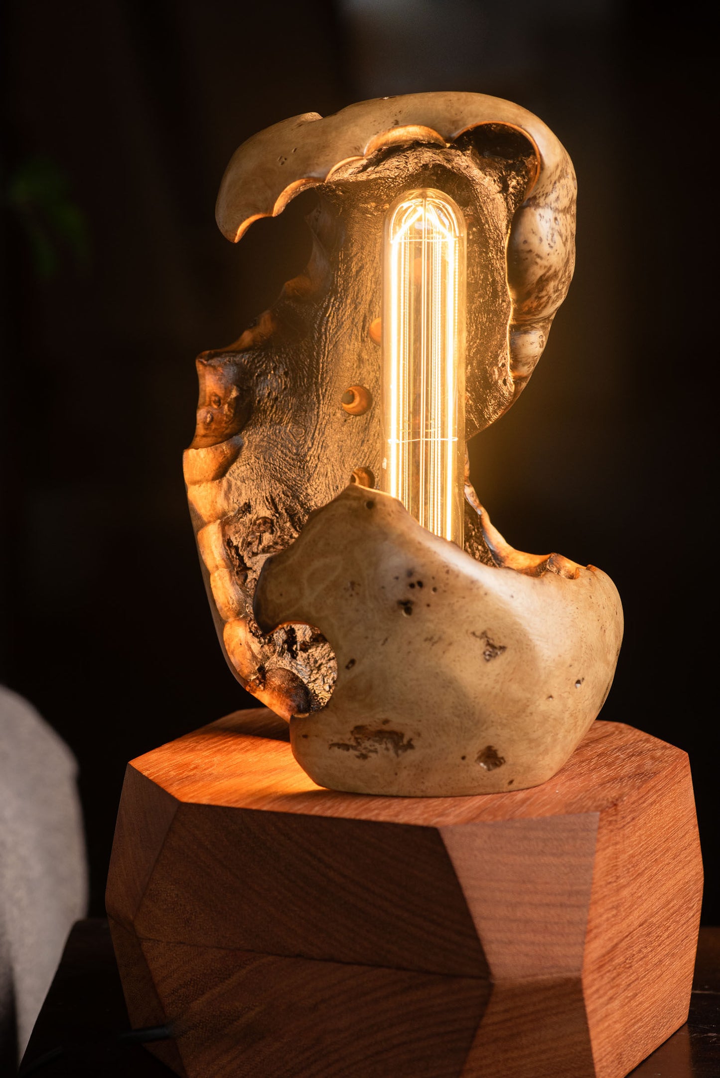 Thesaurus Lamp