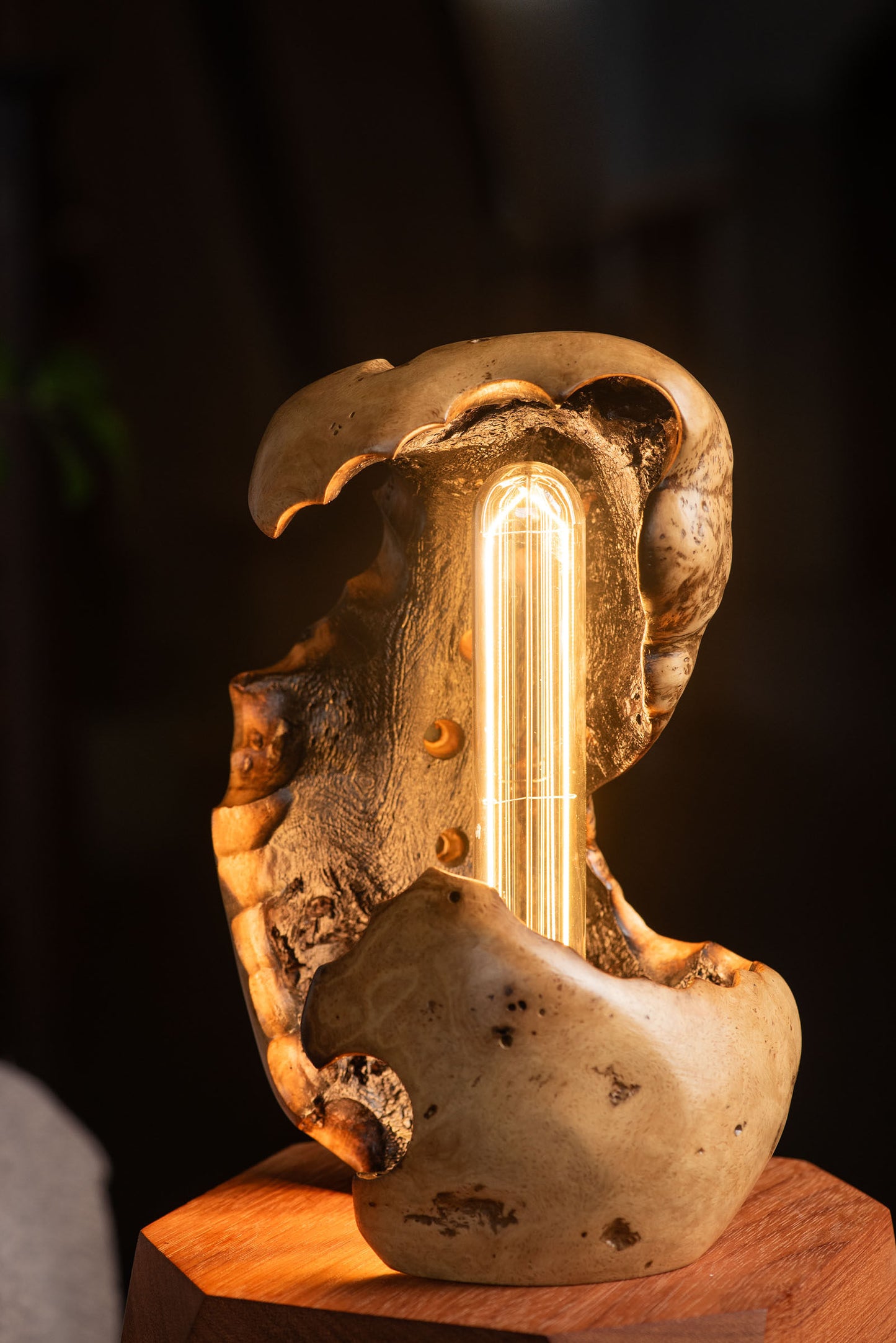 Thesaurus Lamp