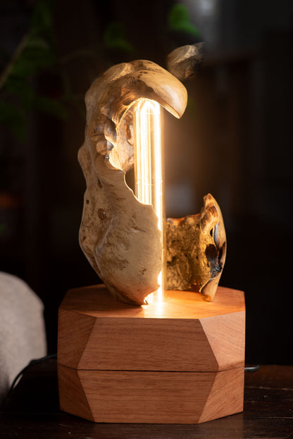 Thesaurus Lamp