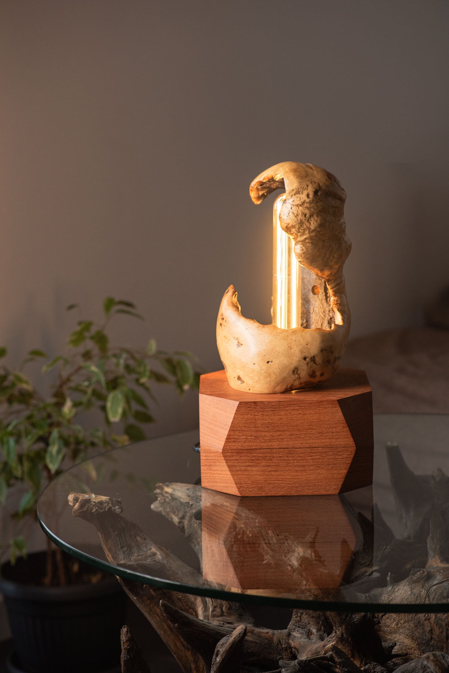 Thesaurus Lamp