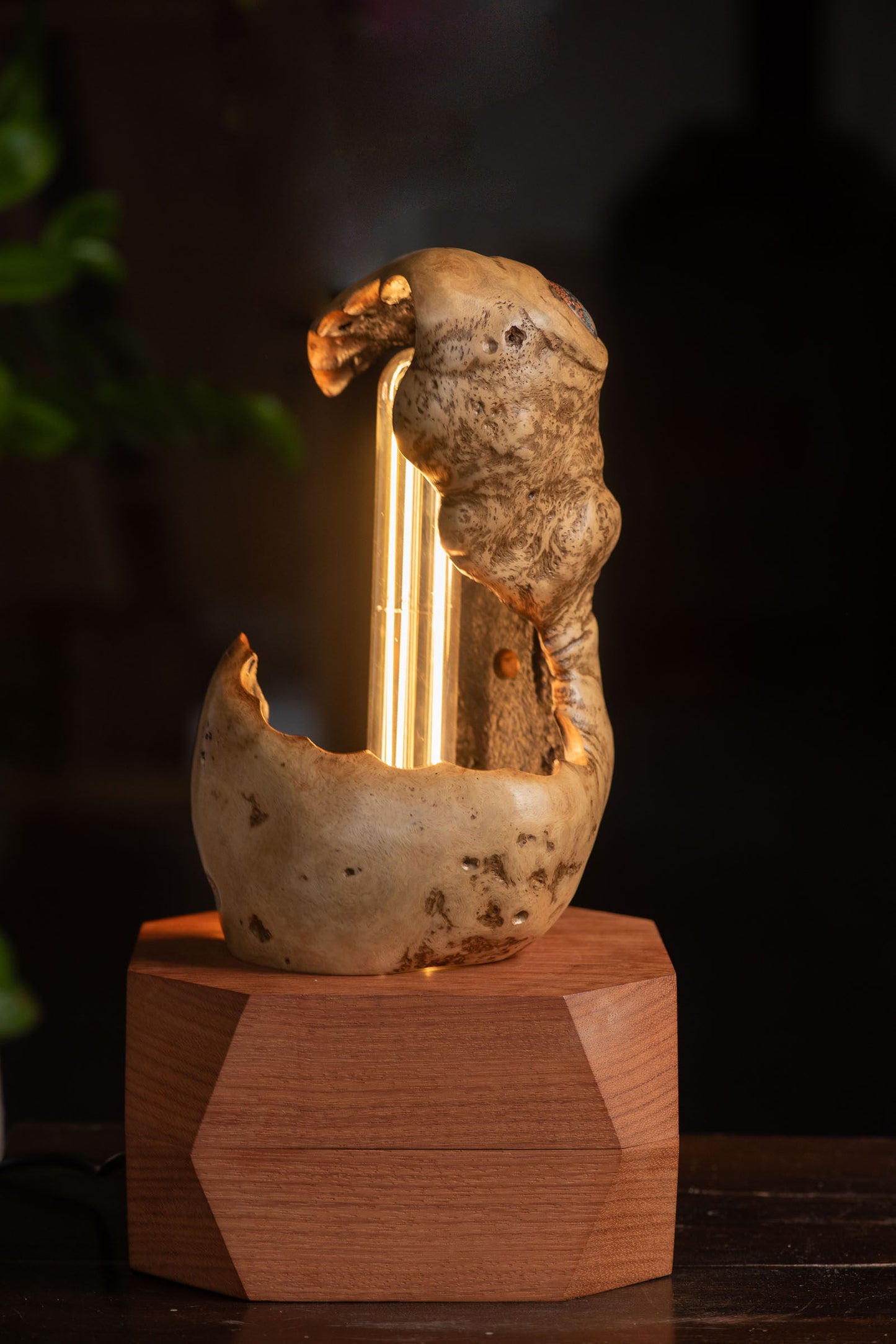 Thesaurus Lamp