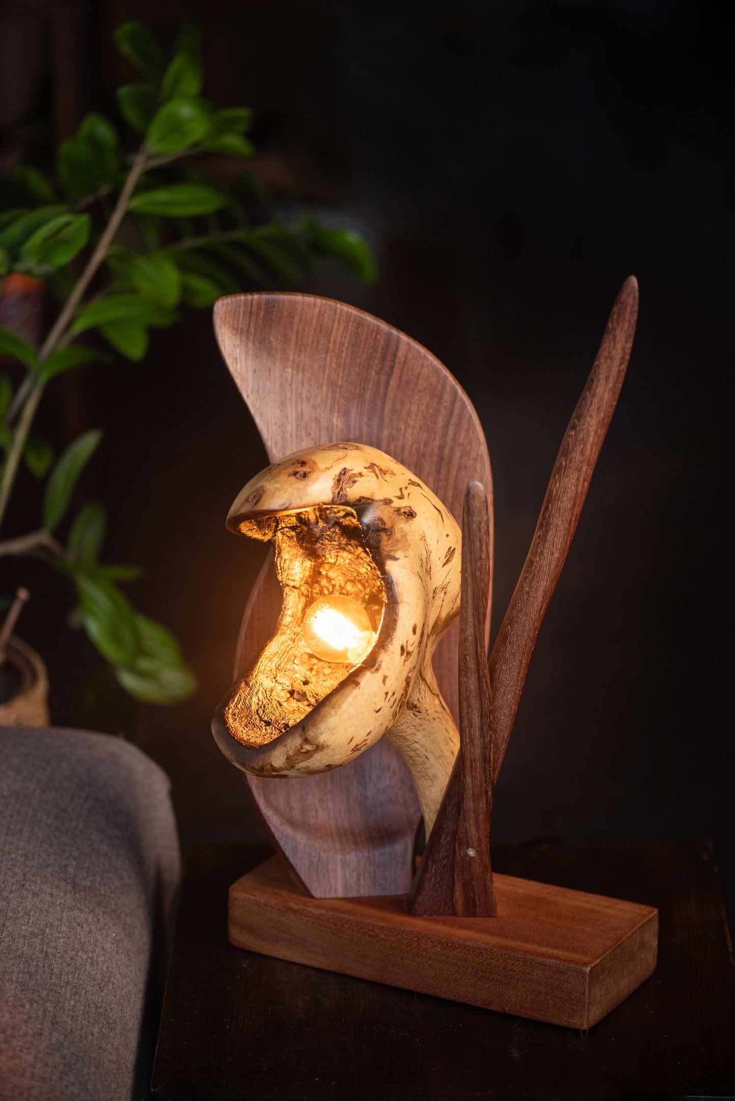 Venus Lamp