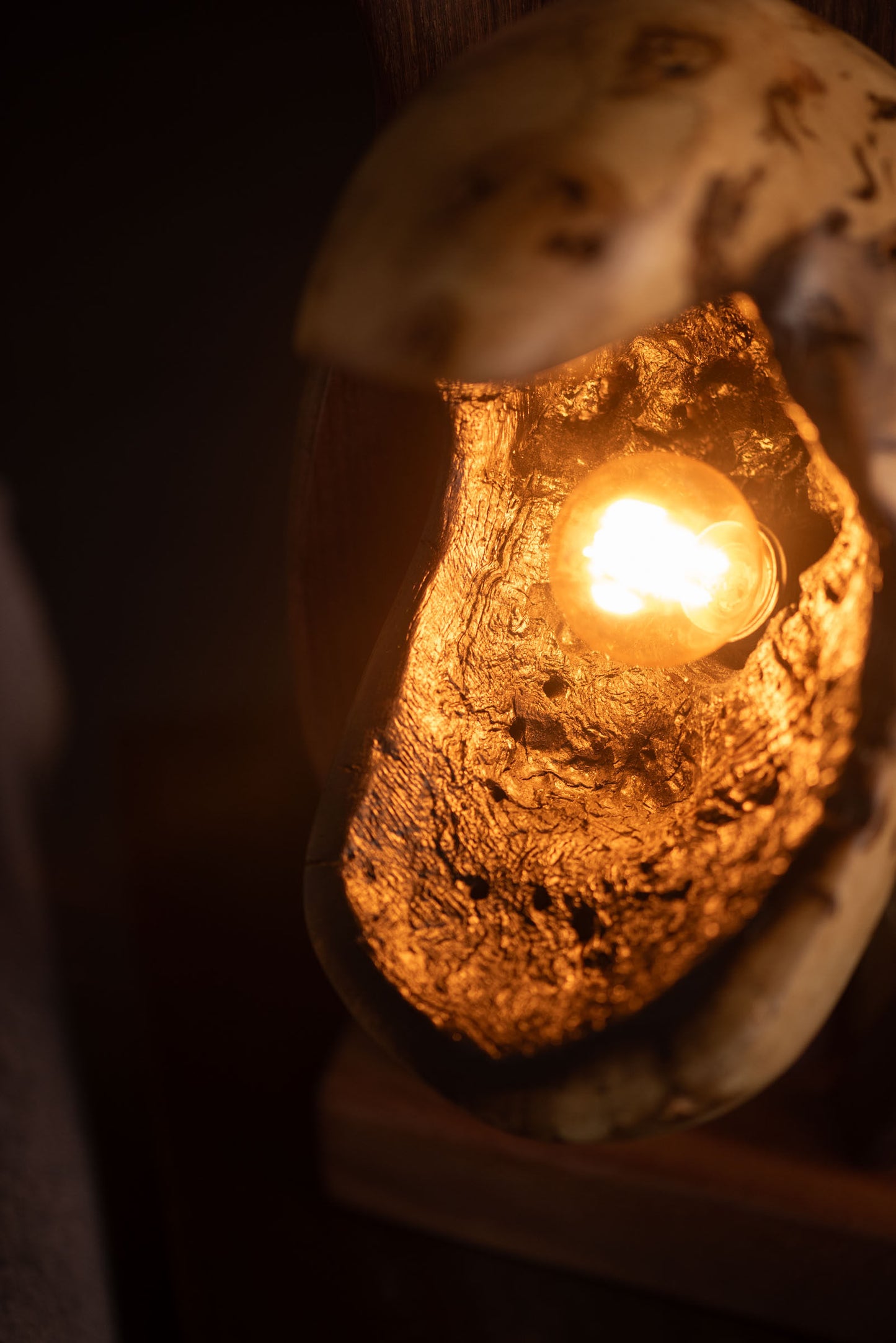 Venus Lamp