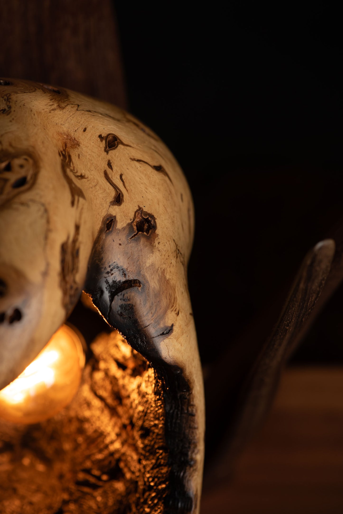 Venus Lamp