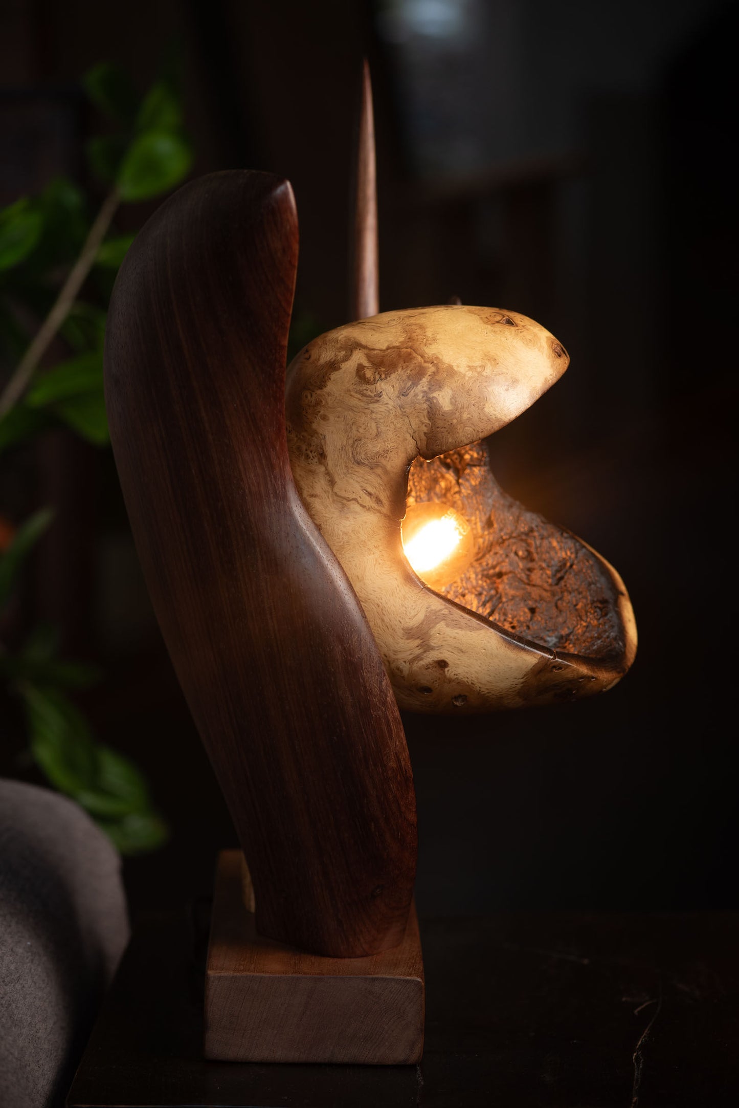 Venus Lamp