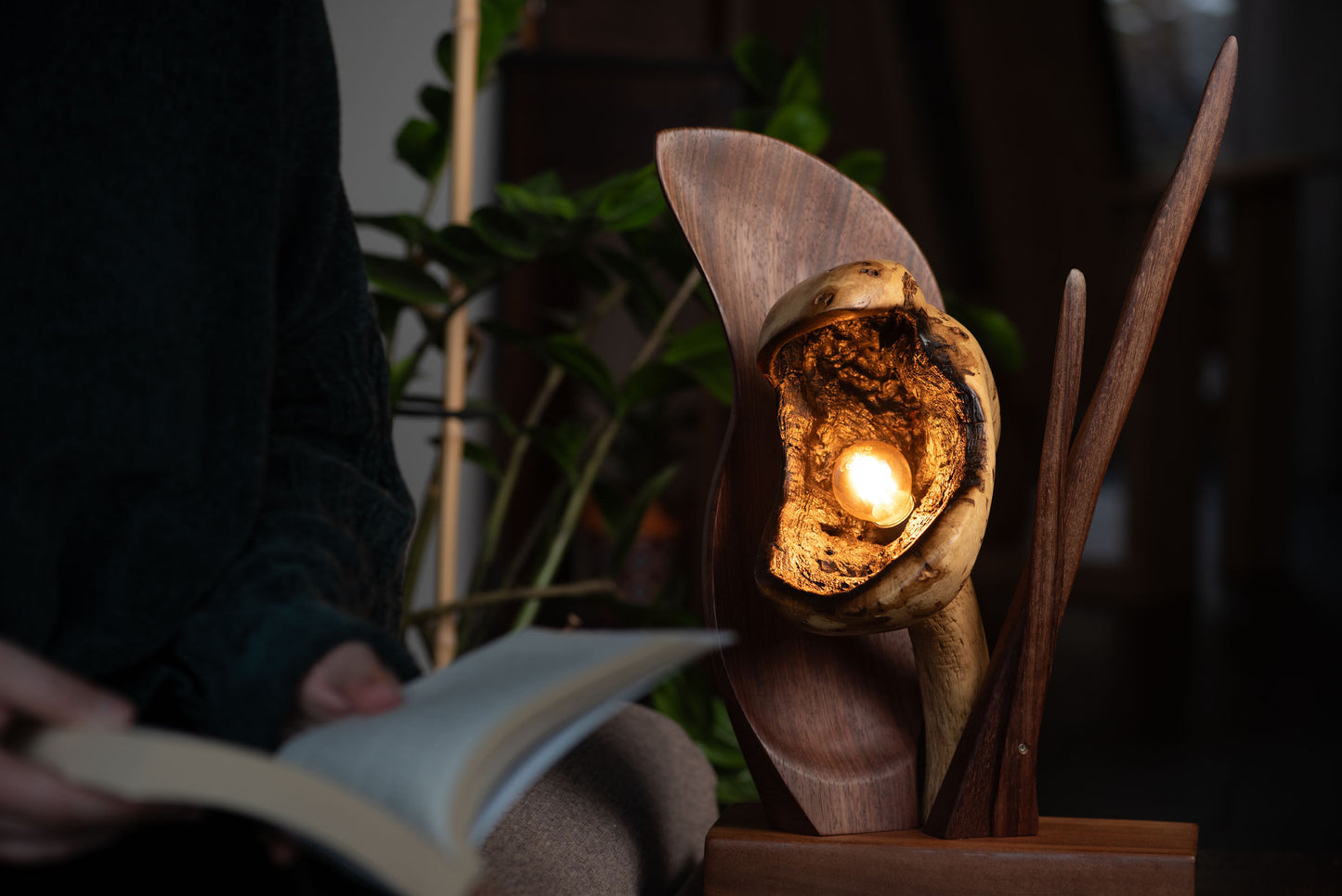Venus Lamp