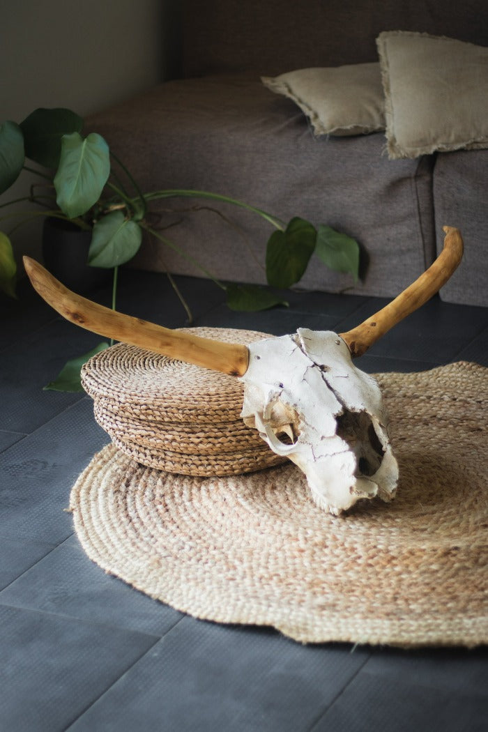 cow skull wooden horns