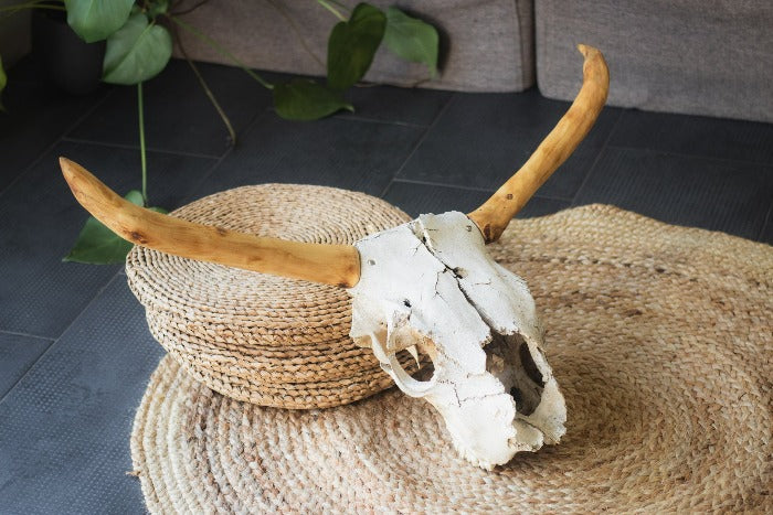 cow skull wooden horns