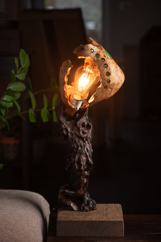 Extraterrestrial Lamp